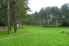 2013-08-29.08.2013-11-00-09_resize