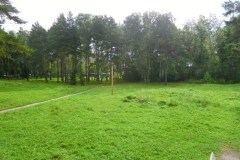 2013-08-29.08.2013-11-00-17_resize